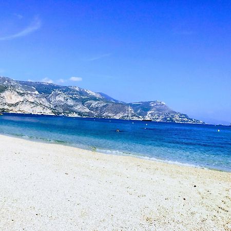 Saint Jean Cap Ferrat Grand Studio Avec Terrasse 外观 照片